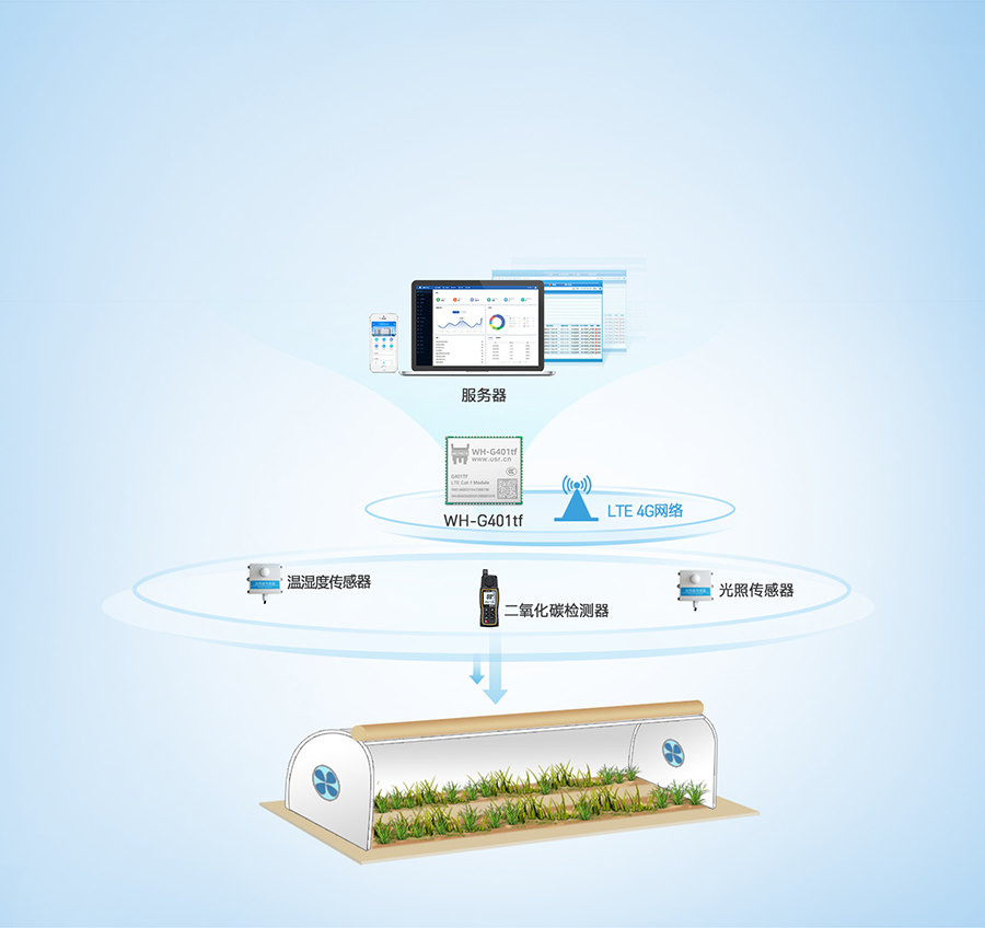 ȫcat-1ģKr(nng)I(y)(yng)ð